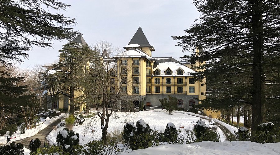 Wildflower Hall is a 5‑star luxury heritage resort set amidst cedar forests in the Himalayan foothills. Once the summer residence of British colonial officials, this elegant property blends colonial‑style charm with modern luxury and offers spectacular views of the mountains and valleys.
